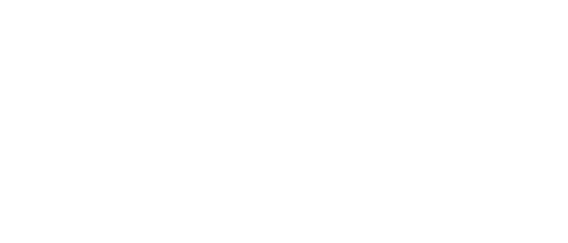 Rapid Visuals logo