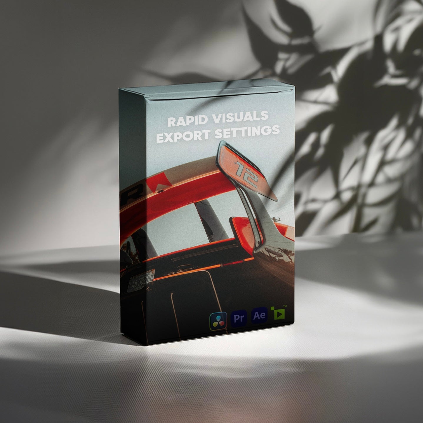 Rapid Visuals Export Settings